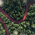 Lumion で自然表現を最大限に引き出す方法を解説